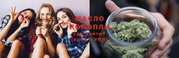 спиды Богородицк