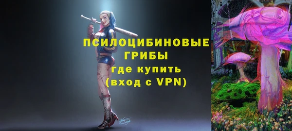 твердый Семёнов